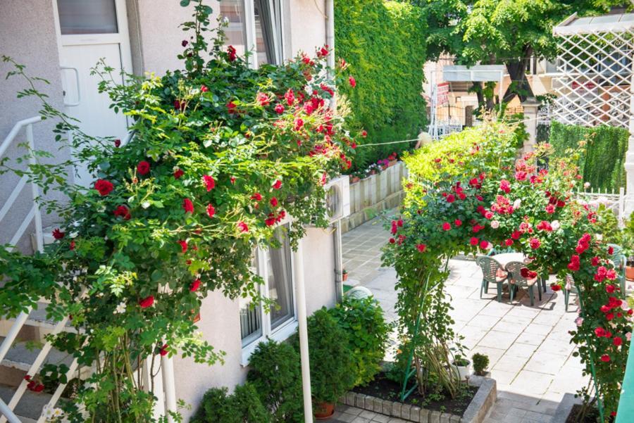 Hotel Relax Варна Екстер'єр фото